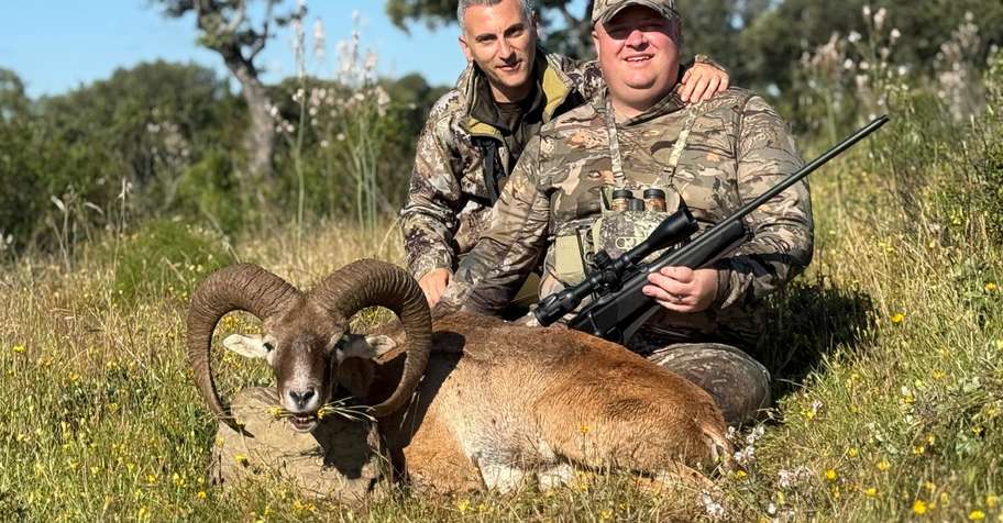 MOUFLON