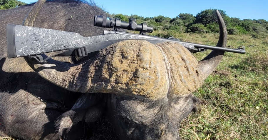 Buffalo Lechwe Package (1x1)