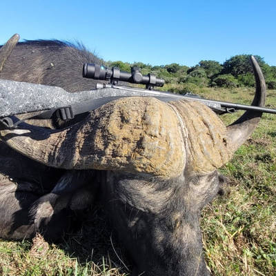 Buffalo Lechwe Package (1x1)