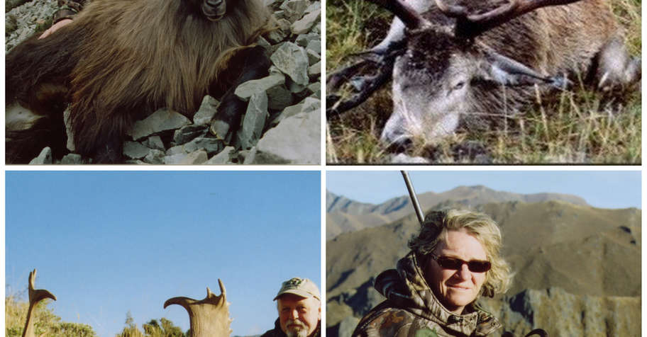 Tahr, Chamois, Red Stag, Fallow, Goat