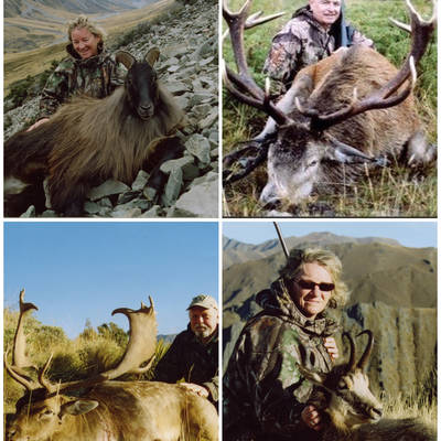 Tahr, Chamois, Red Stag, Fallow, Goat