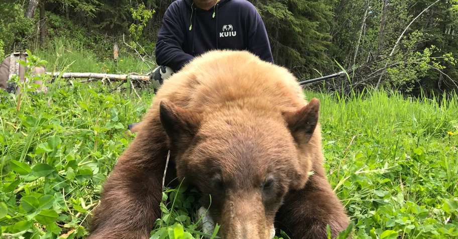 2027 Spring Black Bear Hunts 1:1
