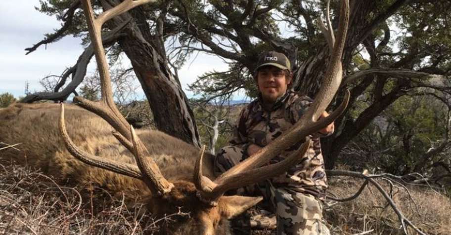 2 PPL Bull Elk and/or Mule Deer