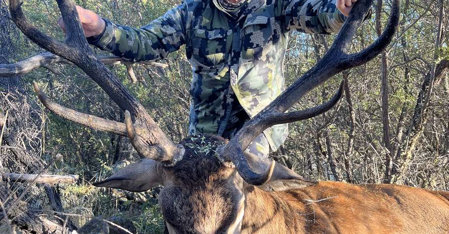 Wild Red Deer Adventure 2027