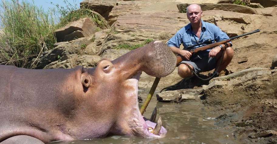 Hippo, hyena & croc