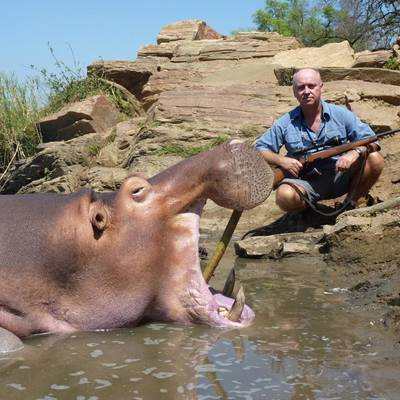 Hippo, hyena & croc