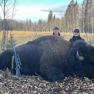 Alberta Bison Hunt