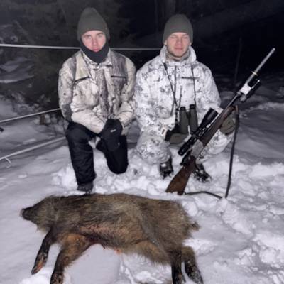 Self-guided Wild Boar hunt (no fees)