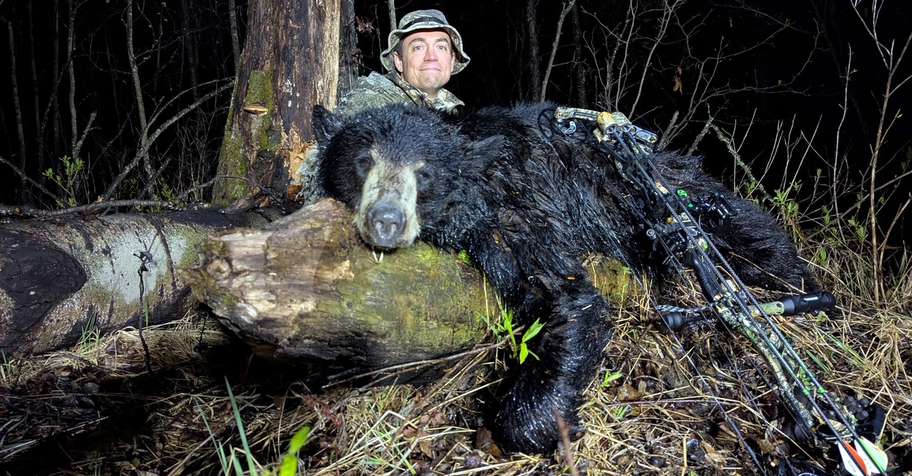 2 Bear Hunt- Wolf and Fishing FREE '26