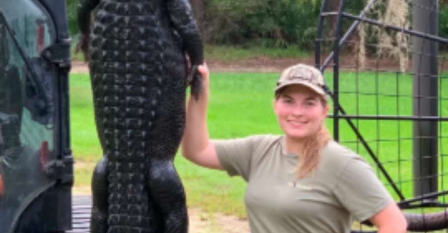 Alligator Hunt 2026