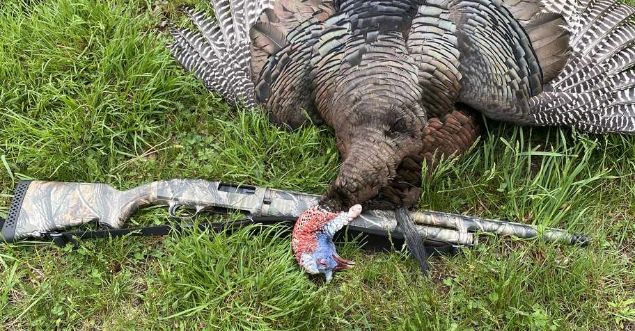2 day fully outfitted P.A spring Turkey