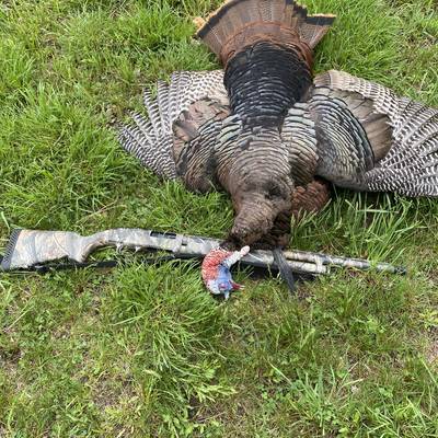 2 day fully outfitted P.A spring Turkey