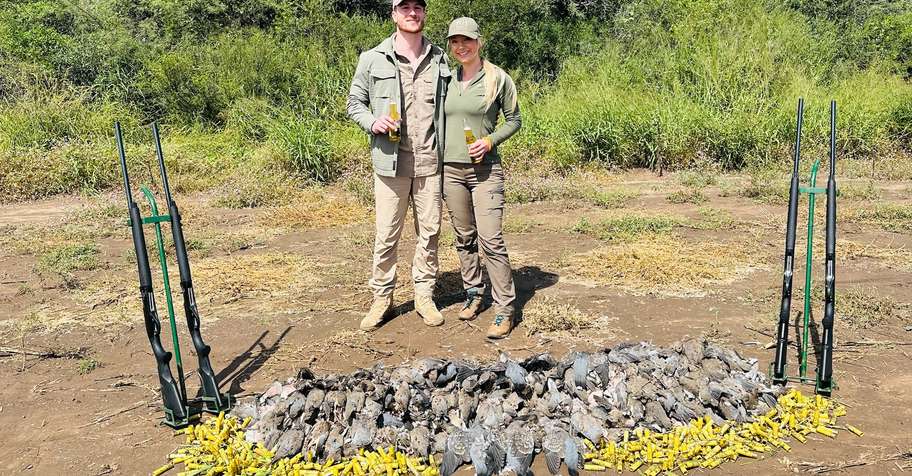 4-Day Dove Hunt - 1 Hunter