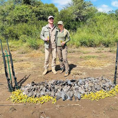 4-Day Dove Hunt - 1 Hunter