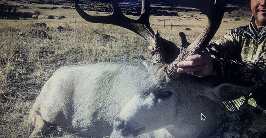 1x1 7 Day Mule Deer rifle 2026