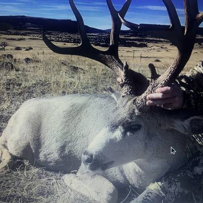 1x1 7 Day Mule Deer rifle 2026