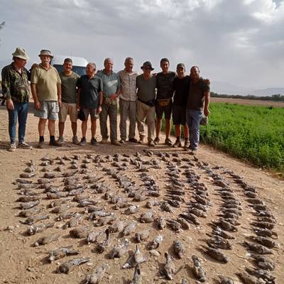 4 Days Wingshooting Package