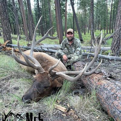 New Mexico Elk Hunts 2026