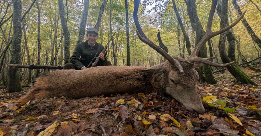 Hunt red deer