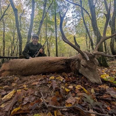 Hunt red deer