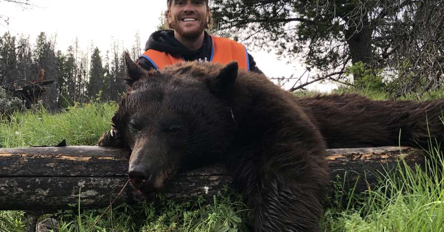Montana Spring Black Bear Hunt
