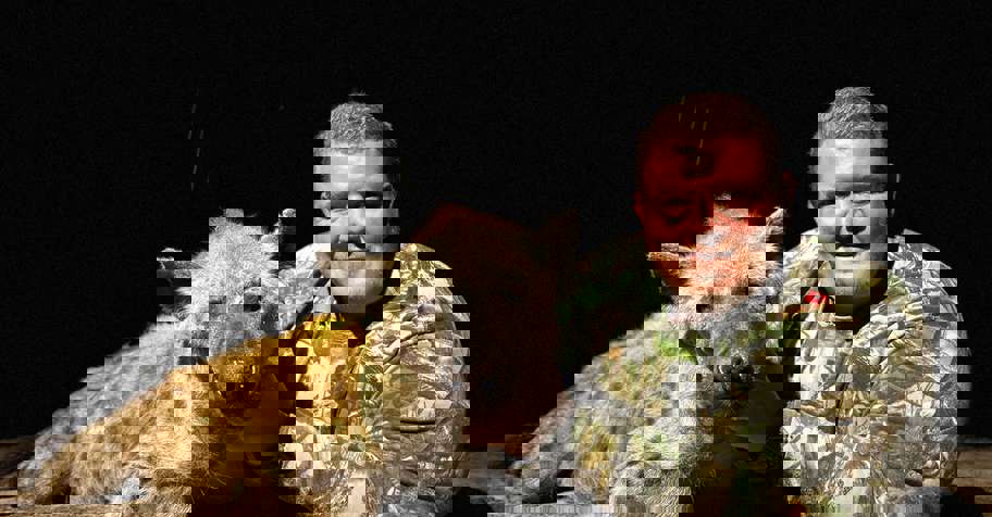 Spotted Hyena & Cape Buffalo