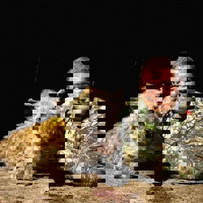 Spotted Hyena & Cape Buffalo