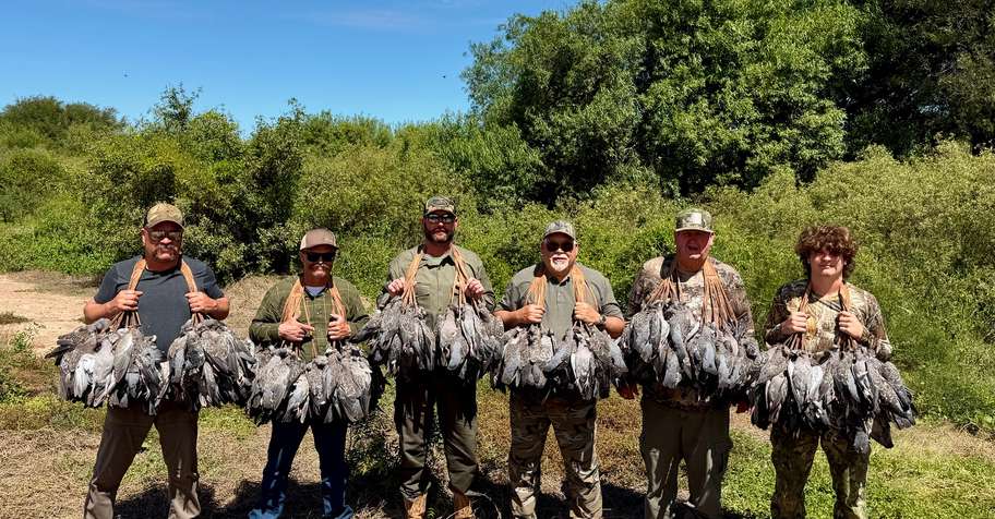 2-Day Dove & 2 Day Pigeons - 4 Hunters