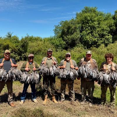 2-Day Dove & 2 Day Pigeons - 4 Hunters