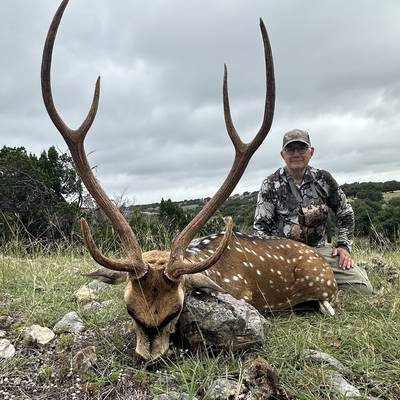 Axis Deer Hunt