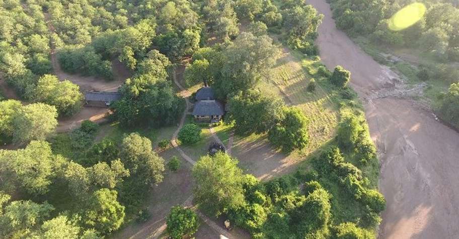 Lion & Buffalo Hunt - Save Valley '26