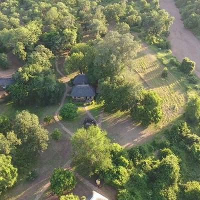 Lion, Leopard & Buffalo - Save Valley