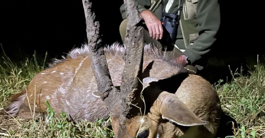 Premium Plains Game Package (1x1)