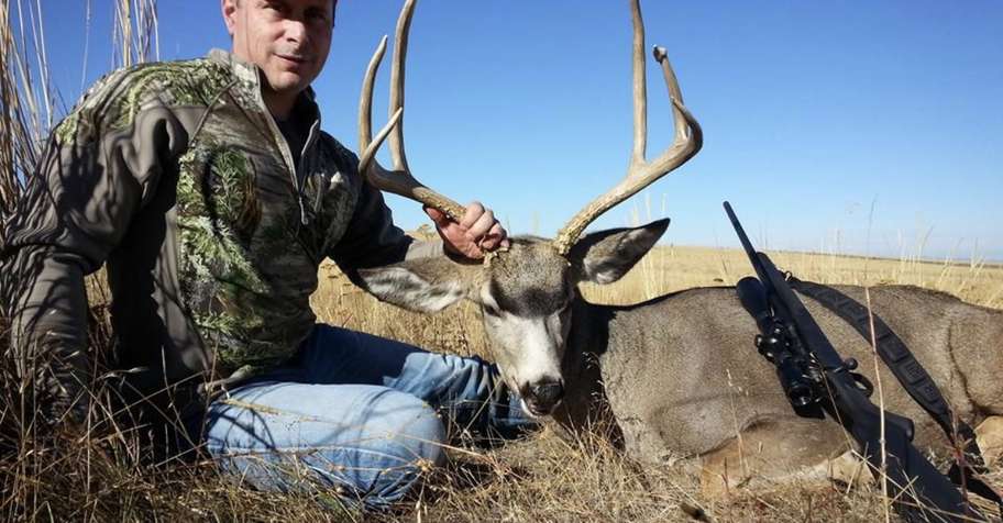 Mule Deer- Rifle