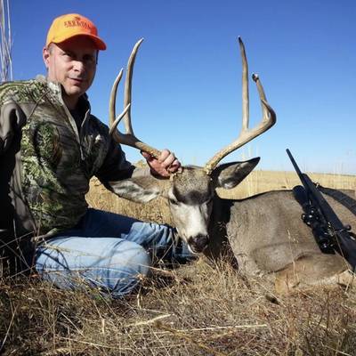 Mule Deer- Rifle