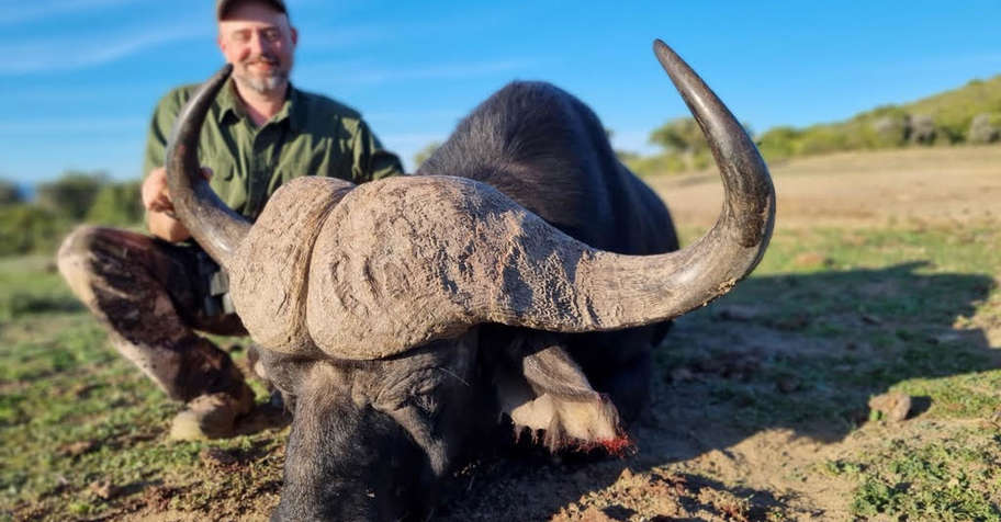 Cape Buffalo & 6 Plains Trophies (1x1)