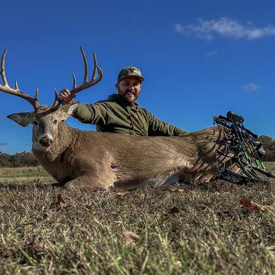 Fall Whitetail: Archery (Pre-Rut/Rut)