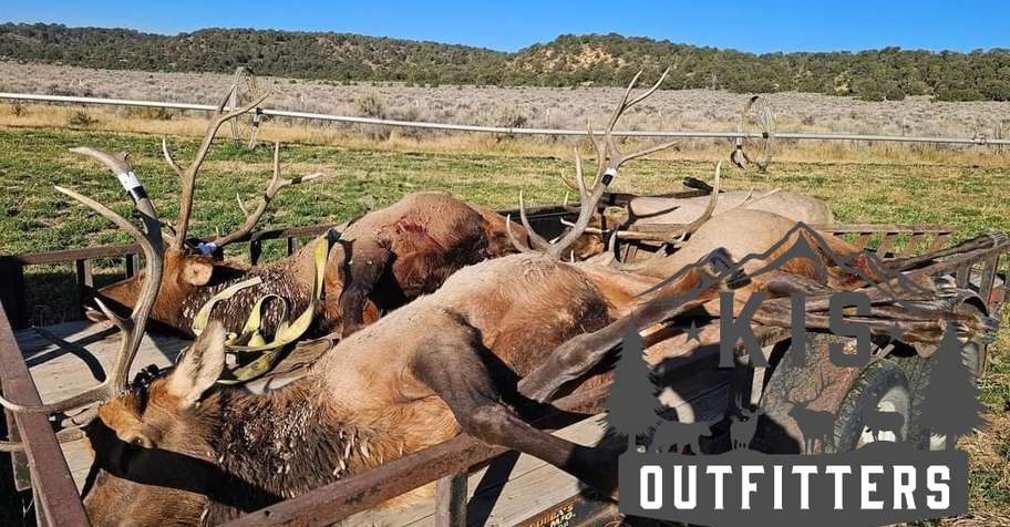 2 PPL Bull Elk on Ranch & Public Lands