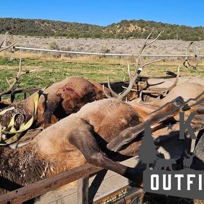2 PPL Bull Elk on Ranch & Public Lands