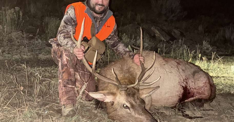 SPECIAL! Bull Or Cow Elk