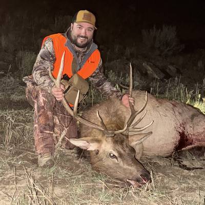 SPECIAL! Bull Or Cow Elk