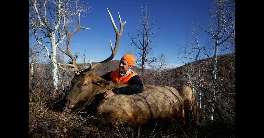 Colorado Rifle Elk Hunt Late Season RFW