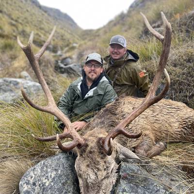 Free Range Red Stag