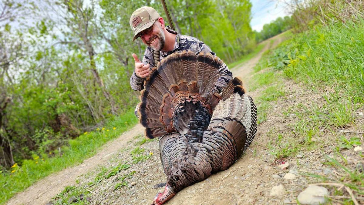 Spring Turkey Bear combo 2026 - E8473b29 8c22 4448 Bdd6 428453fd7ede Image