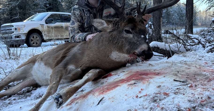 Whitetail deer 3rd week (Rut hunt)