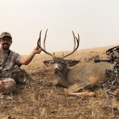Archery Mule Deer Hunt