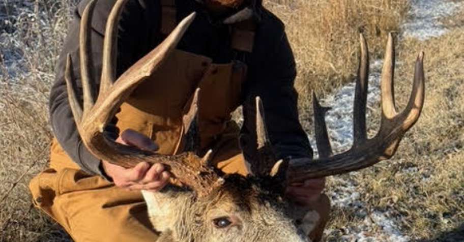Guided Whitetail Deer Hunts
