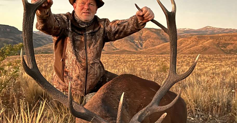 Wild Red Deer Adventure 2027