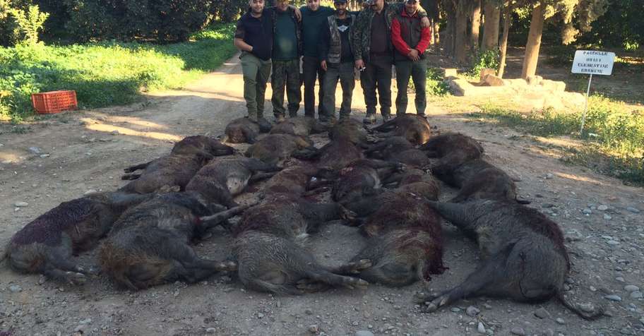 4 Days Wild Boar Package