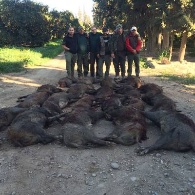4 Days Wild Boar Package